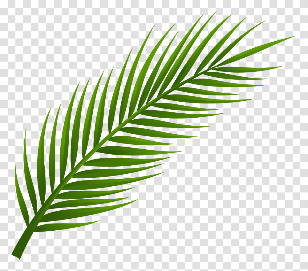 Leaves Clipart, Leaf, Plant, Green, Fern Transparent Png