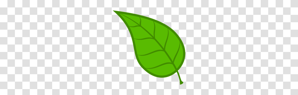 Leaves Clipart, Leaf, Plant, Tennis Ball, Sport Transparent Png