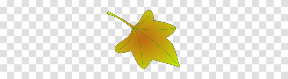 Leaves Clipart, Leaf, Plant, Tree, Maple Leaf Transparent Png