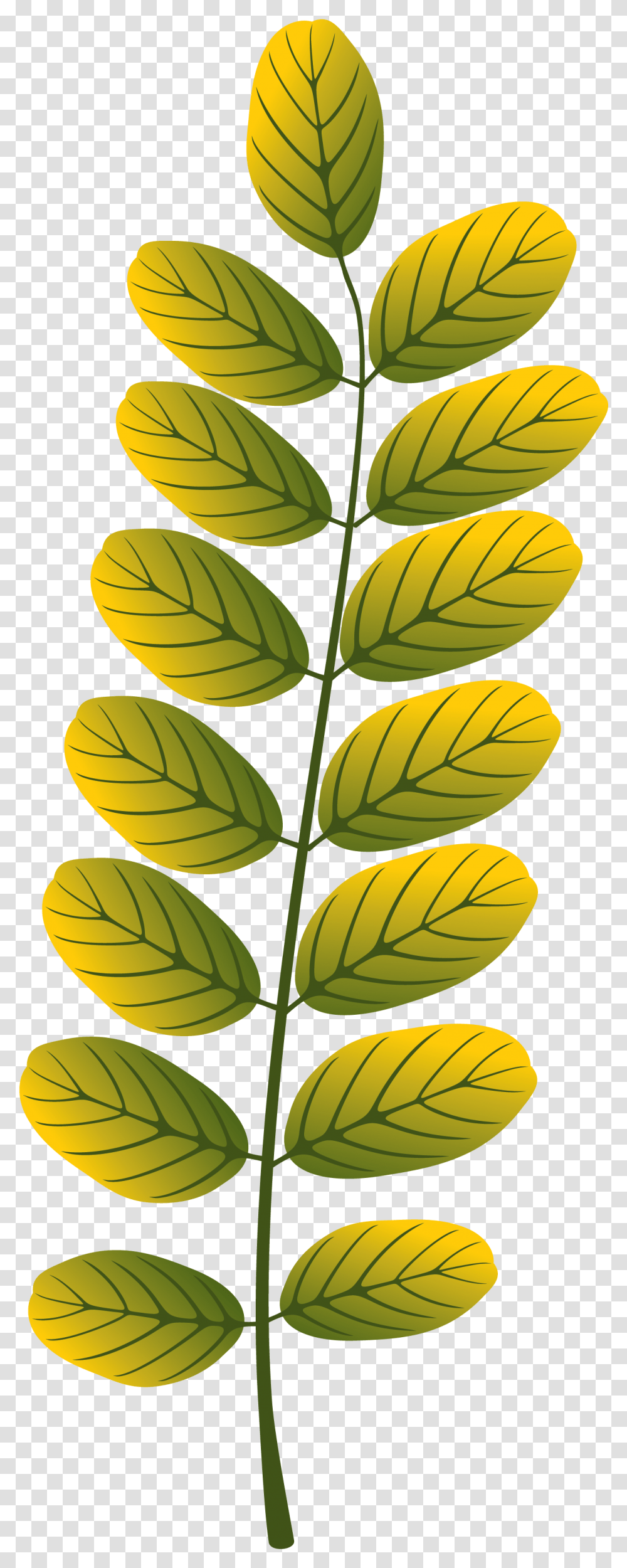 Leaves Designing, Leaf, Plant, Green, Pineapple Transparent Png