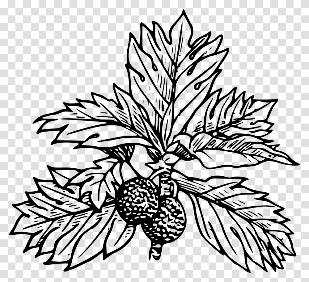 Leaves Drawing Draw A Breadfruit Tree, Gray, World Of Warcraft Transparent Png