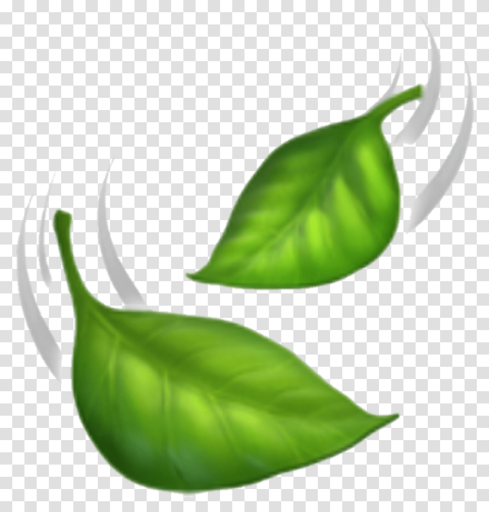 Leaves Emoji Clipart Iphone Leaf Emoji, Plant, Green, Vase, Jar Transparent Png