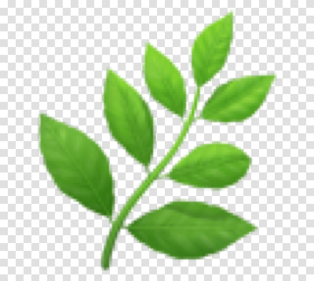Leaves Emoji Emoticon Iphone Iphoneemo Herb Emoji, Vase, Jar, Pottery, Plant Transparent Png