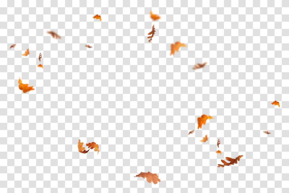 Leaves Falling Overlay Fall Leaves, Paper Transparent Png
