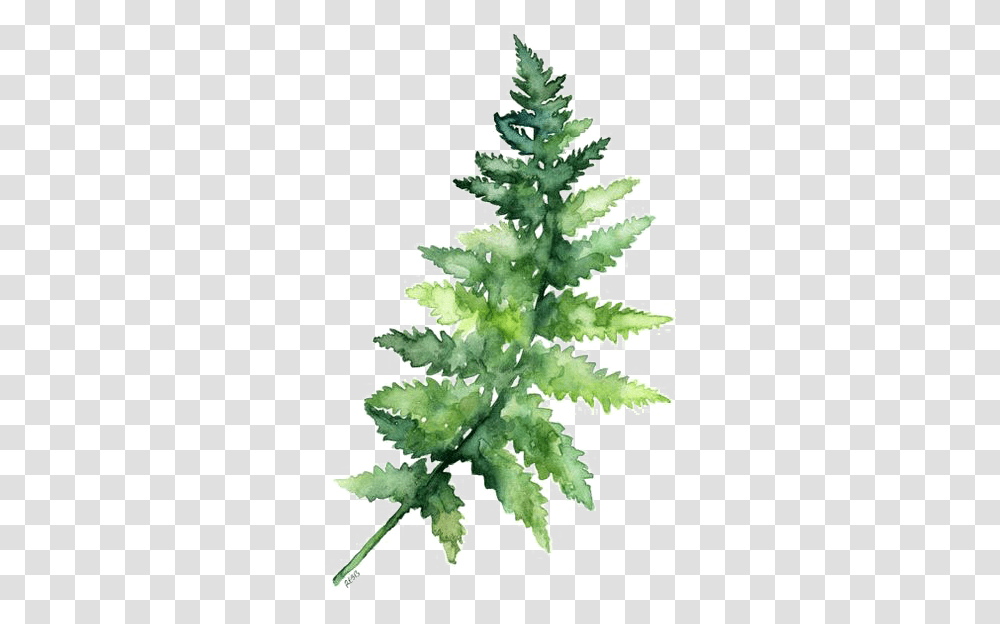 Leaves Fern Watercolor Printing Green Paper Painting Watercolor Green Leaf, Plant, Christmas Tree, Ornament, Aloe Transparent Png