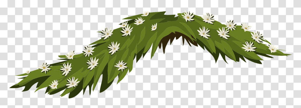 Leaves Flowers, Plant, Daisy, Daisies, Blossom Transparent Png