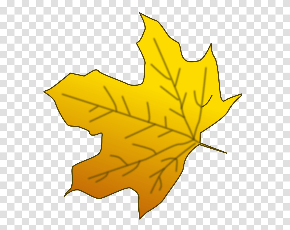 Leaves Free Download Vector, Leaf, Plant, Maple Leaf, Tree Transparent Png