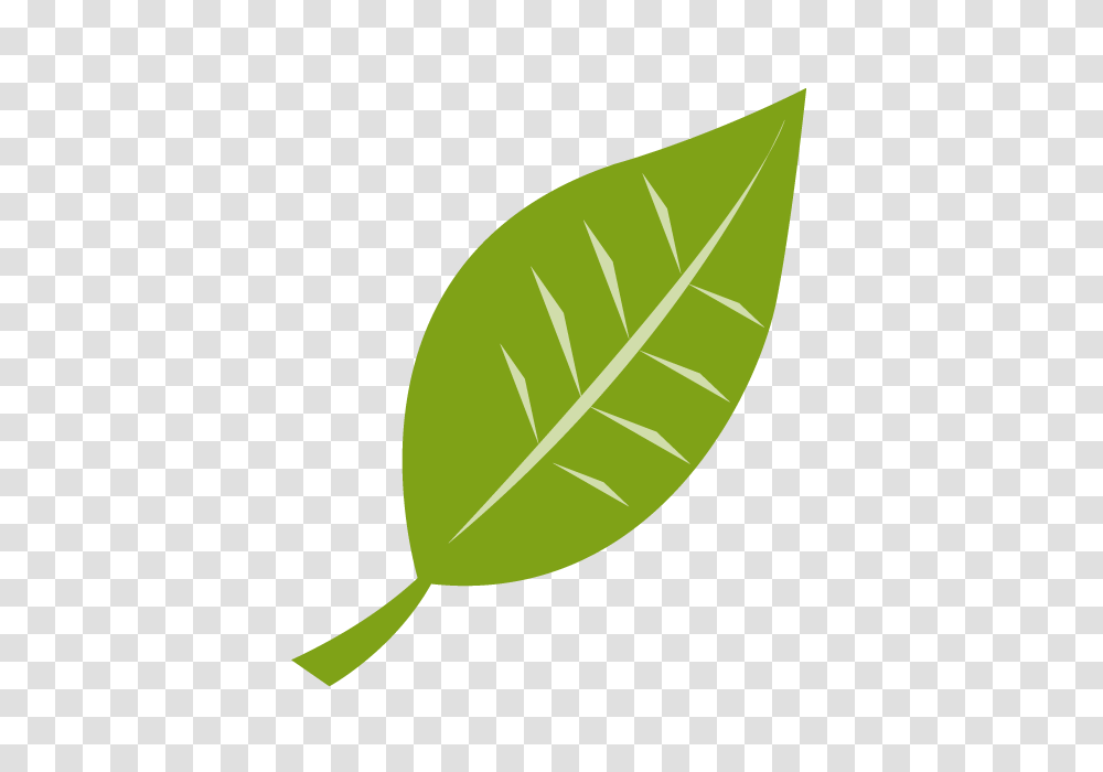 Leaves Grass Clip Art Material Free Illustration Image, Leaf, Plant, Tennis Ball, Sport Transparent Png