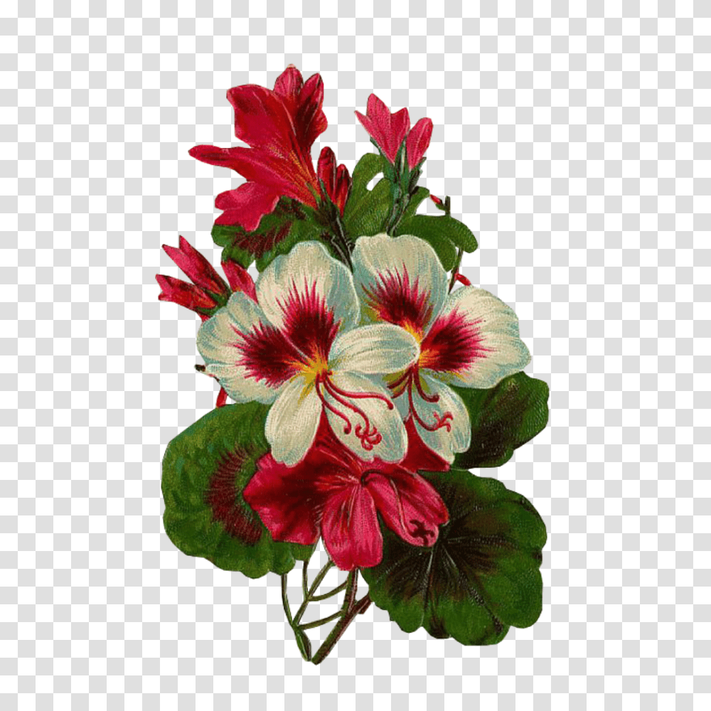 Leaves Green Kpopedit Edits Edit Overlay Flower Spr, Geranium, Plant, Blossom, Floral Design Transparent Png