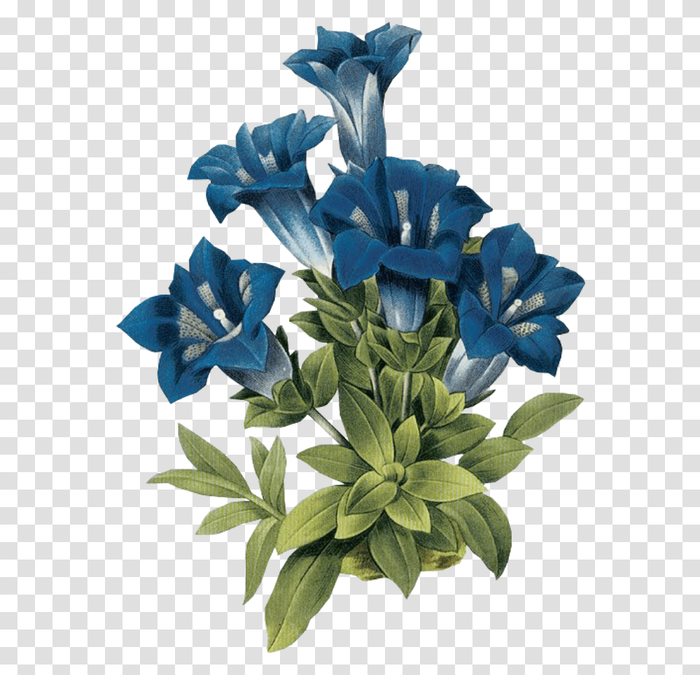 Leaves Green Kpopedit Edits Edit Overlay Vintage Flowers In Blue, Plant, Iris, Blossom, Acanthaceae Transparent Png