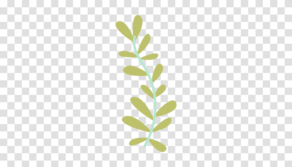 Leaves Illustration, Green, Leaf, Plant, Pineapple Transparent Png