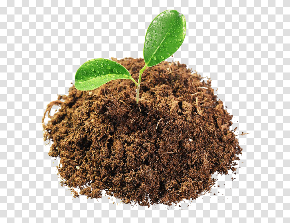 Leaves In Mud Image Mud, Soil, Plant, Leaf, Sprout Transparent Png
