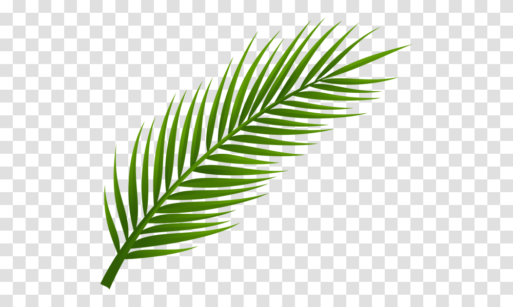 Leaves In Palm Palm, Leaf, Plant, Green, Veins Transparent Png