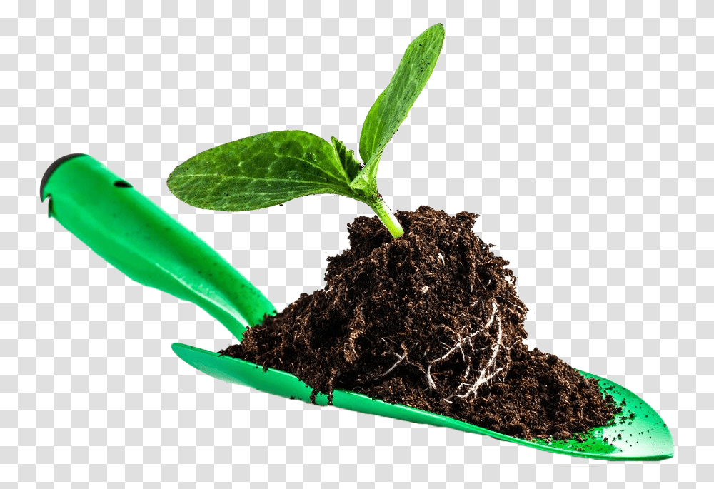 Leaves In Soil Image Shovel In Soil, Plant, Leaf, Sprout, Outdoors Transparent Png