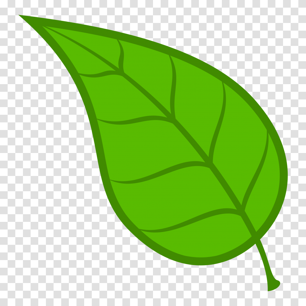 Leaves Leaf Free Download Clip Art, Plant, Green, Fern Transparent Png