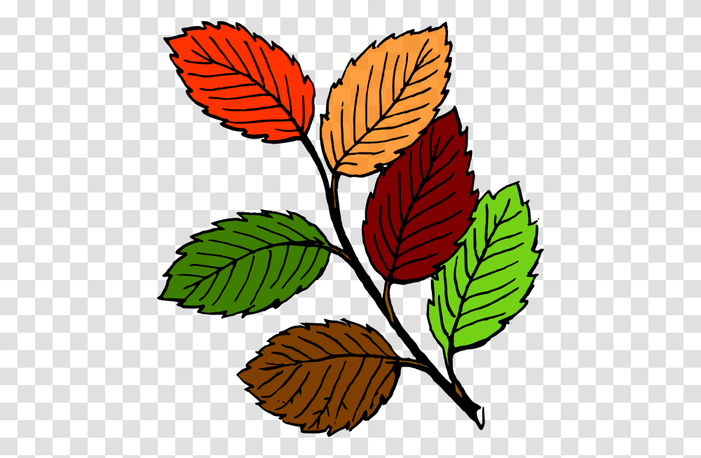 Leaves Line Art, Leaf, Plant, Veins Transparent Png
