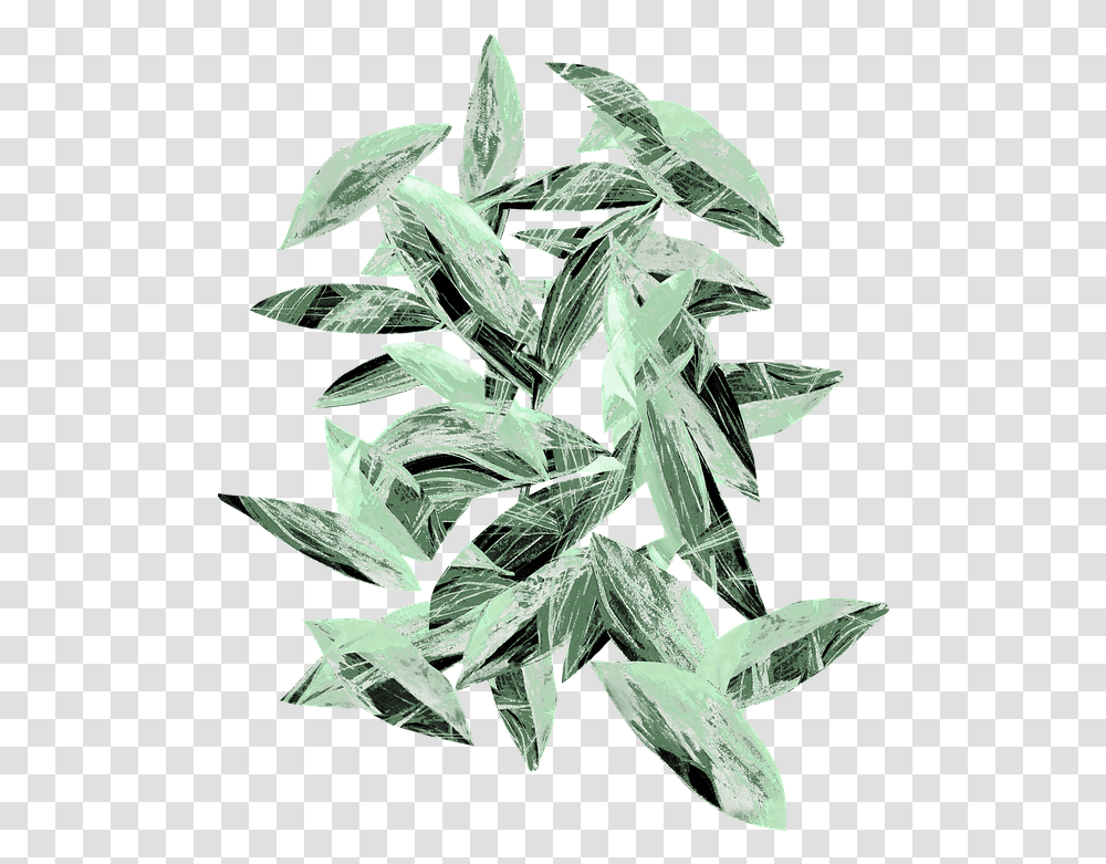 Leaves Nature Green Tree Branch Forest Russian Olive, Plant, Leaf, Flower, Pineapple Transparent Png