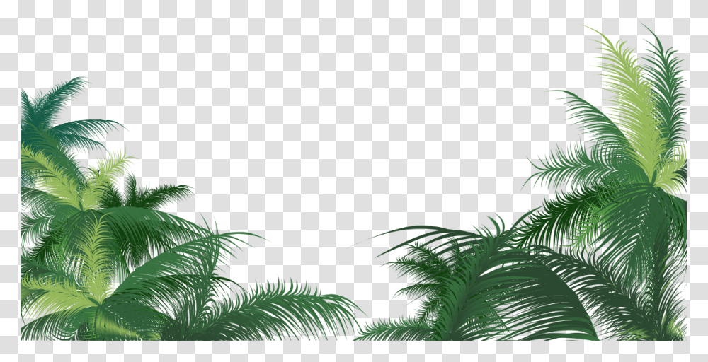Leaves Of Palm, Vegetation, Plant, Tree, Green Transparent Png