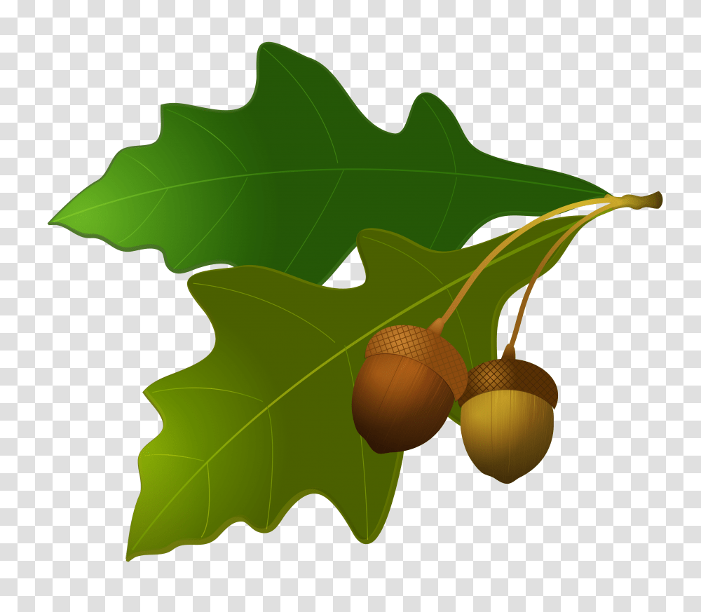 Leaves, Plant, Leaf, Seed, Grain Transparent Png