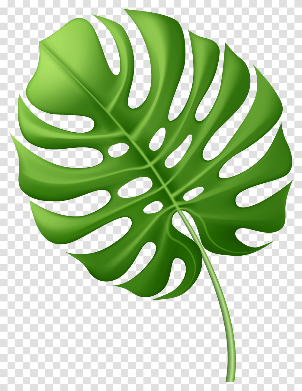 Leaves Tropical Transparent Png