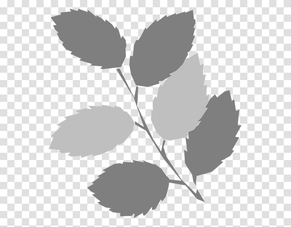 Leaves Twig Gray Spring Clip Art, Plant, Leaf, Soccer Ball, Football Transparent Png