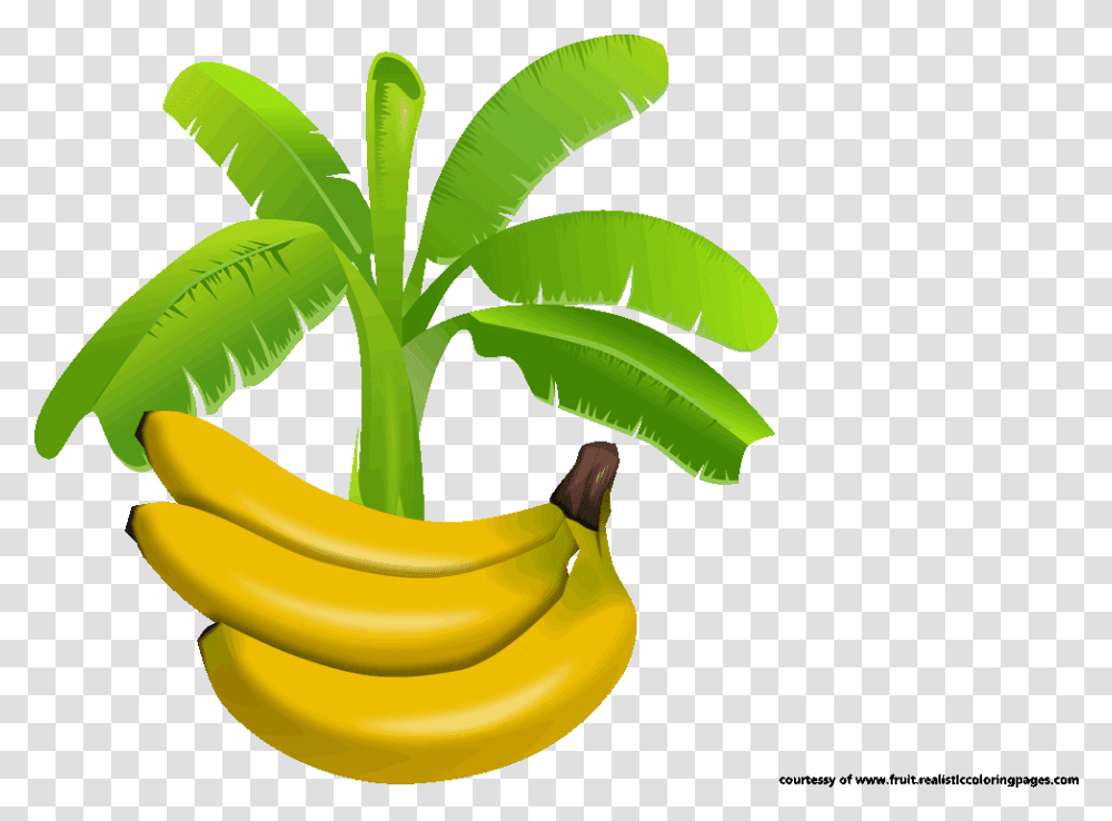 Leaves Vector Banana Tree Banana Leaf Logo, Plant, Fruit, Food Transparent Png