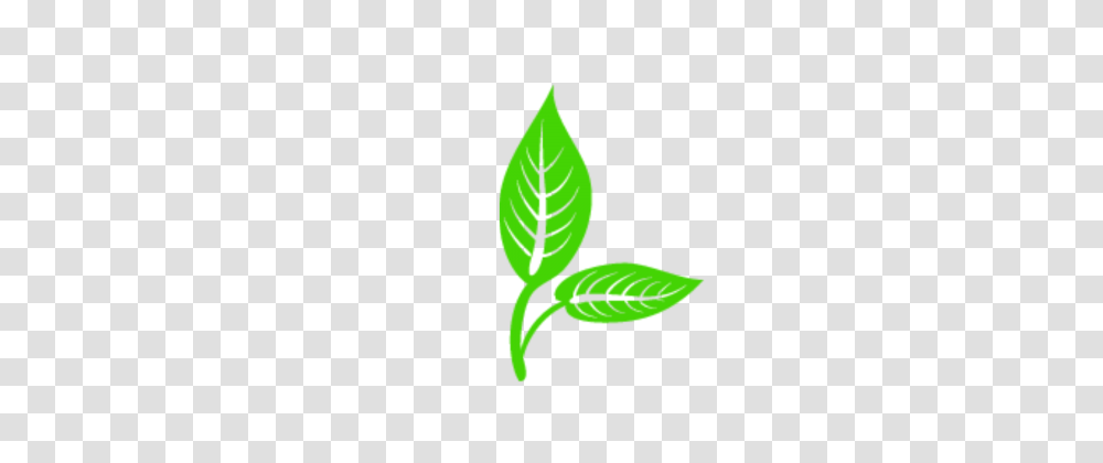 Leaves Vector Free Vectors And Clipart For Free, Leaf, Plant, Logo Transparent Png