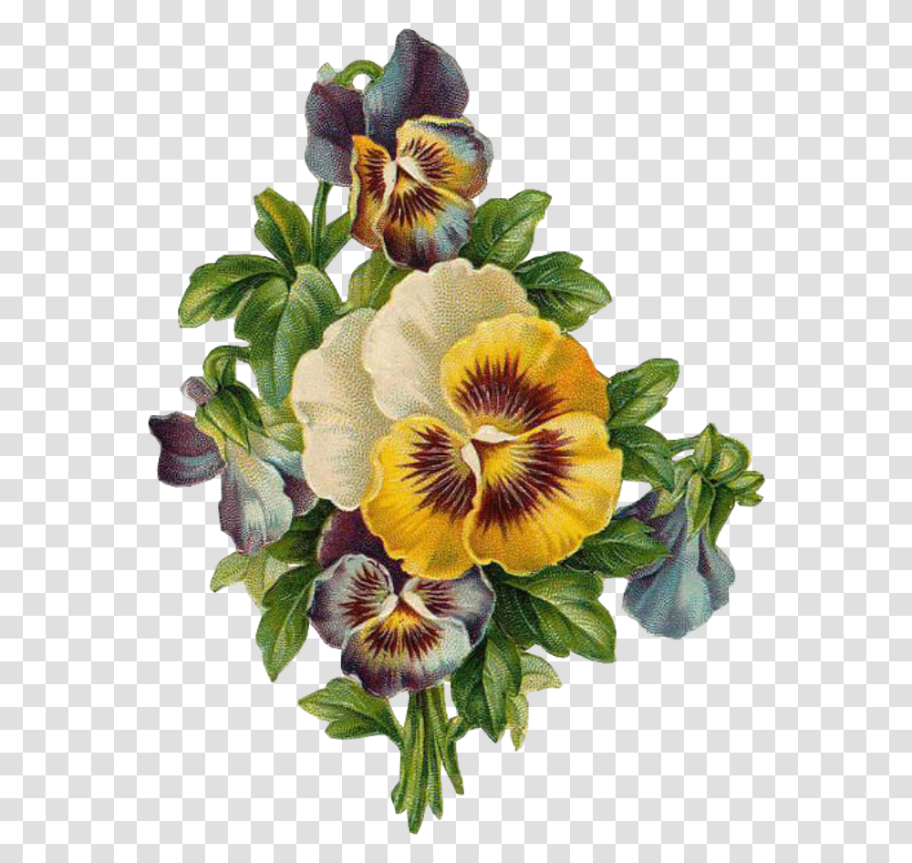 Leaves Vintage Pansy Flowers Clipart, Plant, Blossom, Iris, Anemone Transparent Png