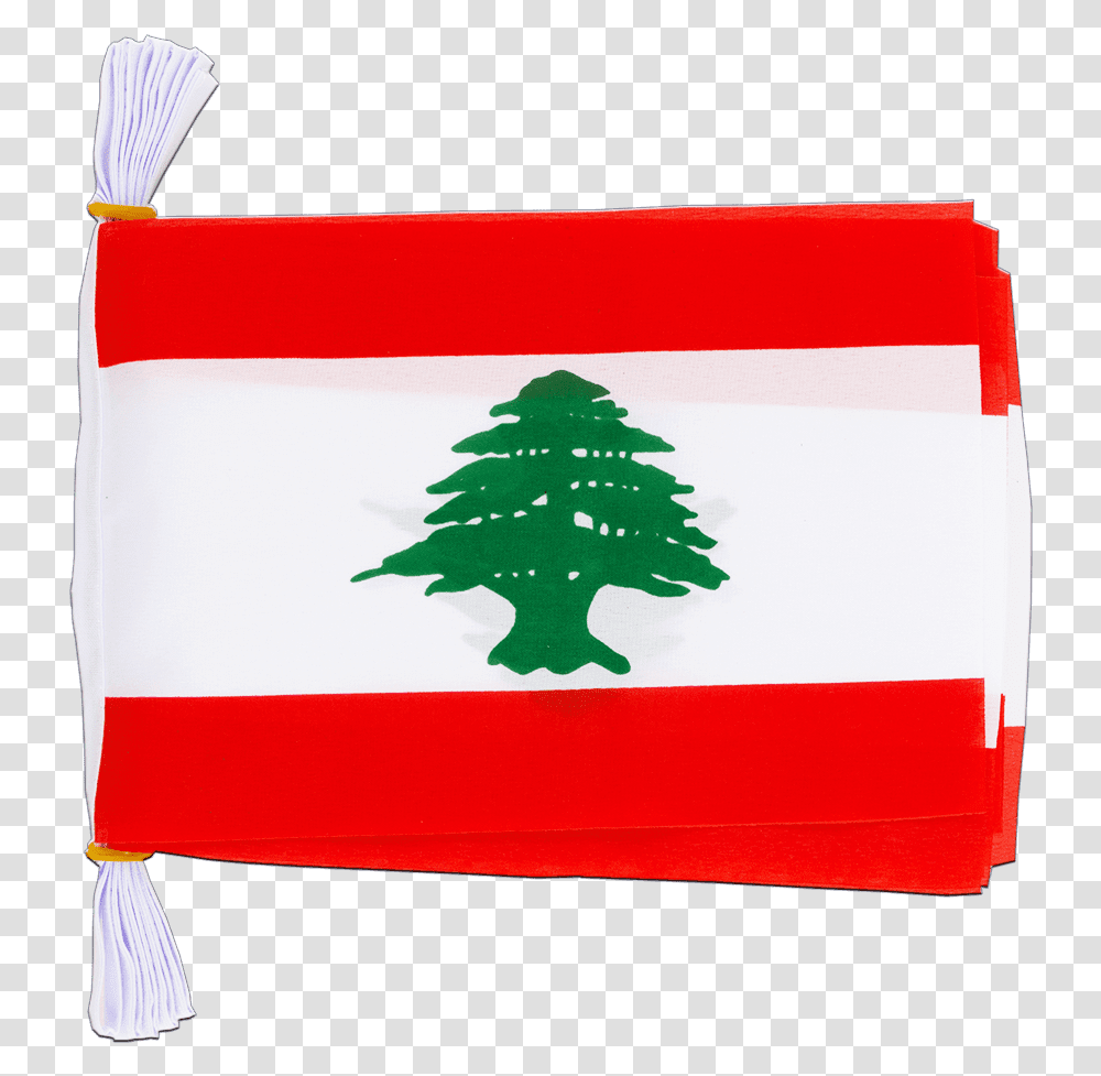 Lebanese Flag Clipart Lebanon Flag, Tree, Plant, American Flag Transparent Png