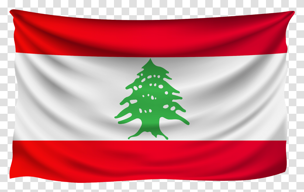 Lebanese Flag, Tree, Plant, Ornament, Christmas Tree Transparent Png