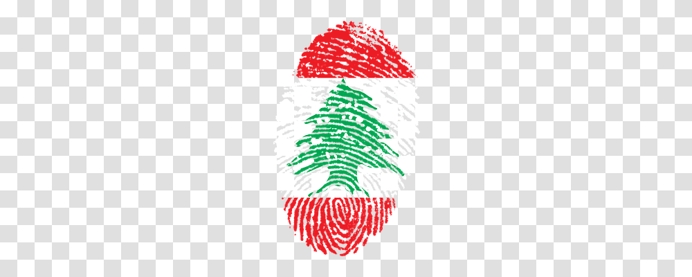 Lebanon Person, Tree, Plant, Ornament Transparent Png