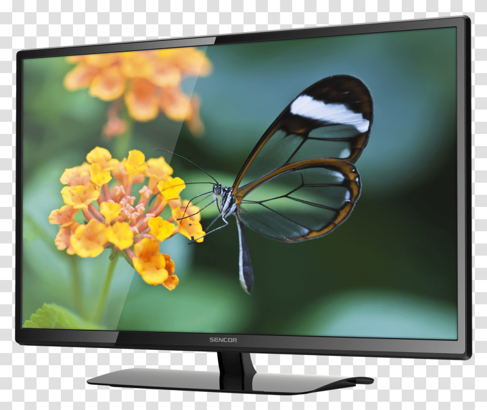 Led Images Hd, Monitor, Screen, Electronics, Display Transparent Png