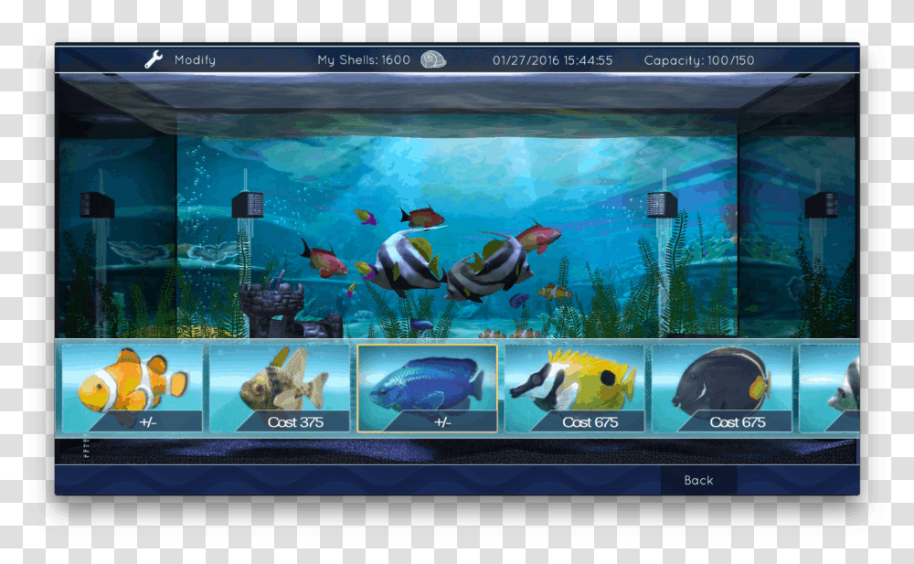 Led Screen Fish Tank, Water, Animal, Aquatic, Outdoors Transparent Png