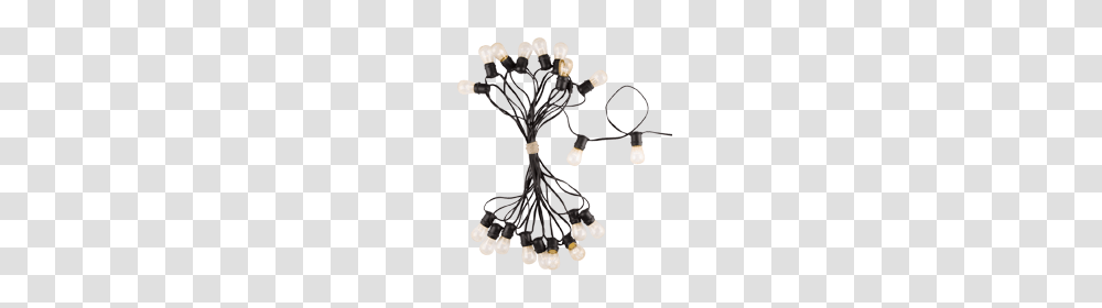 Led String Lights Rejuvenation, Lamp, Root, Plant, Flower Transparent Png