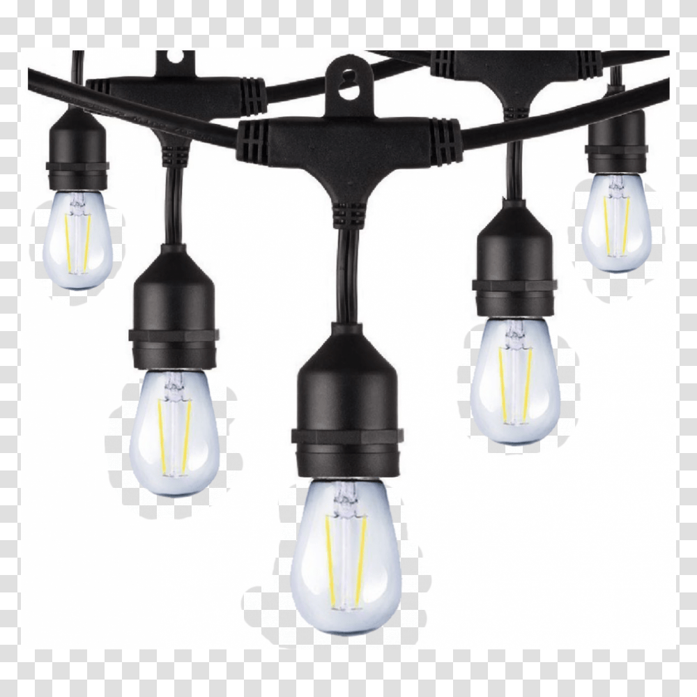 Led String Lights With Bulbs, Light Fixture, Lighting, Lamp, Lightbulb Transparent Png