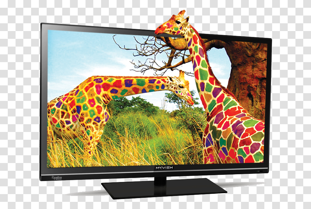 Led Television Free Download Colour Tv Led, Monitor, Screen, Electronics, Display Transparent Png