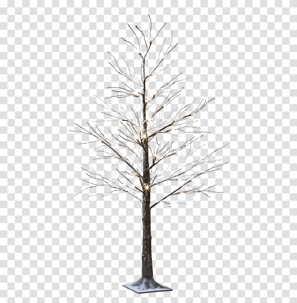 Led Tree Snowy Led Tree, Plant, Silhouette, Leaf, Fir Transparent Png