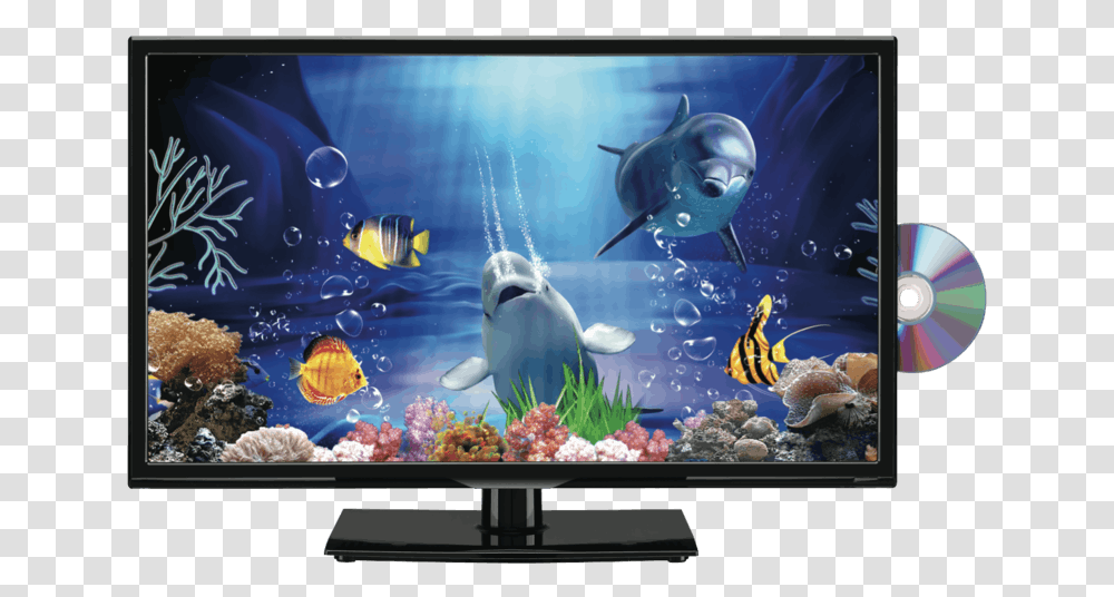 Led Tv Aquarium, Monitor, Screen, Electronics, LCD Screen Transparent Png