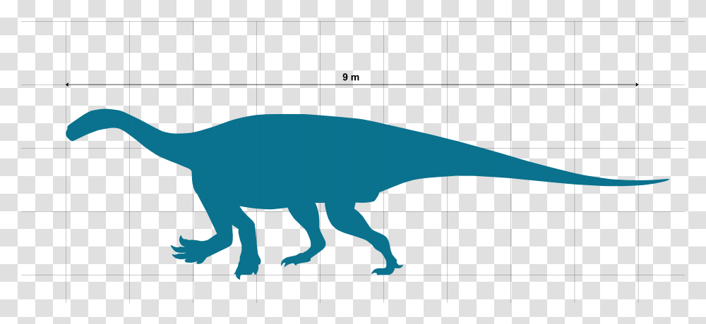 Ledumahadi Scale Chart Wip 2 Ledumahadi Mafube, Animal, Dinosaur, Reptile, T-Rex Transparent Png