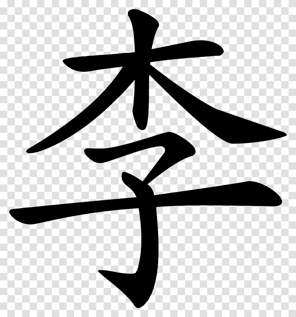 Lee Chinese Character, Gray, World Of Warcraft Transparent Png