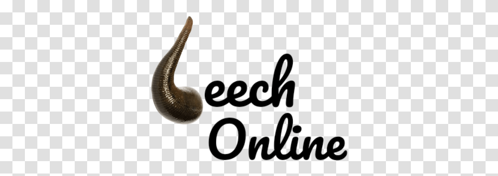 Leech Therapy Language, Animal, Snail, Invertebrate, Smoke Pipe Transparent Png