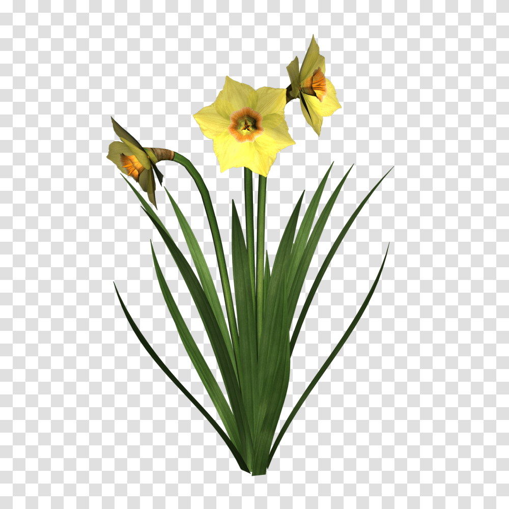 Leek Clipart, Plant, Flower, Blossom, Gladiolus Transparent Png