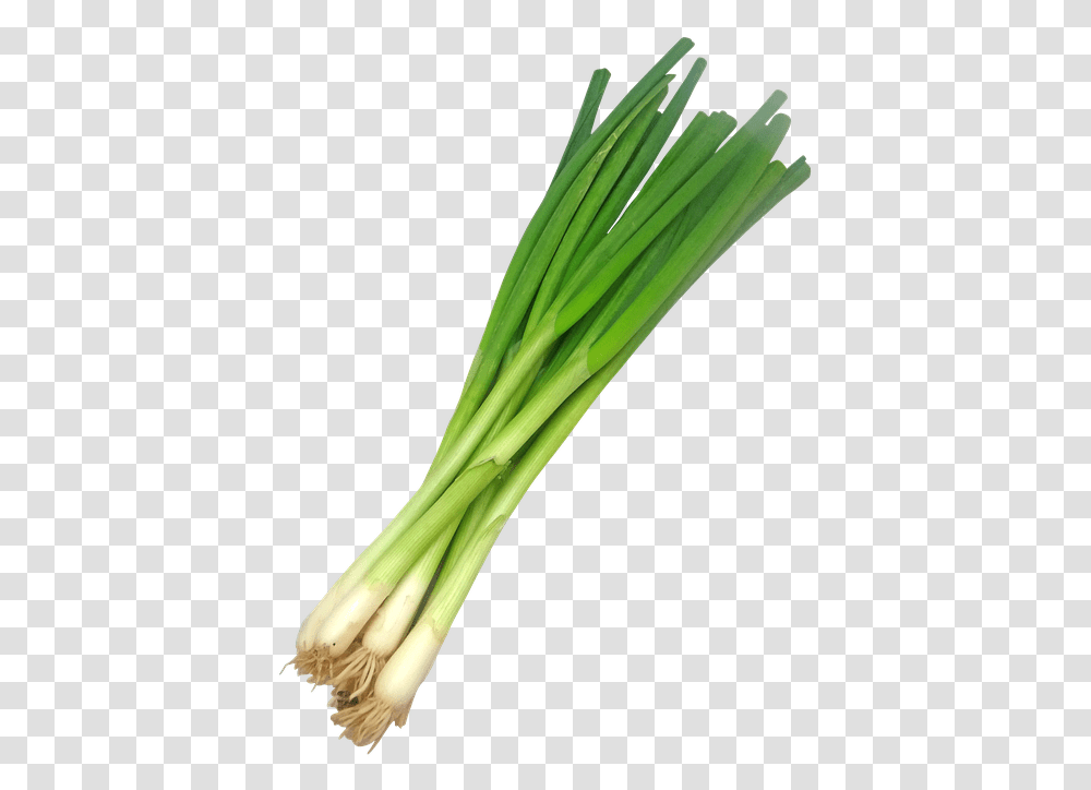 Leek, Plant, Produce, Food, Vegetable Transparent Png