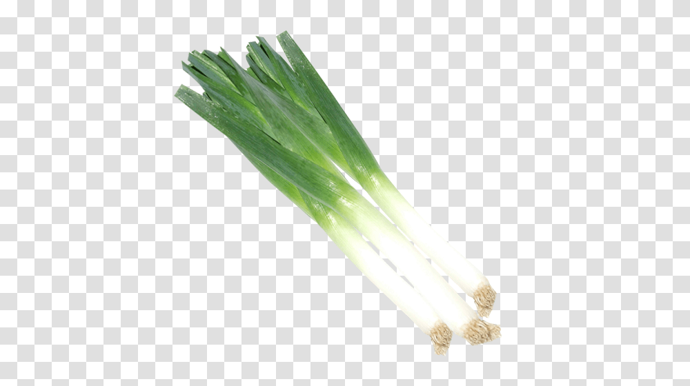 Leek, Vegetable, Plant, Produce, Food Transparent Png