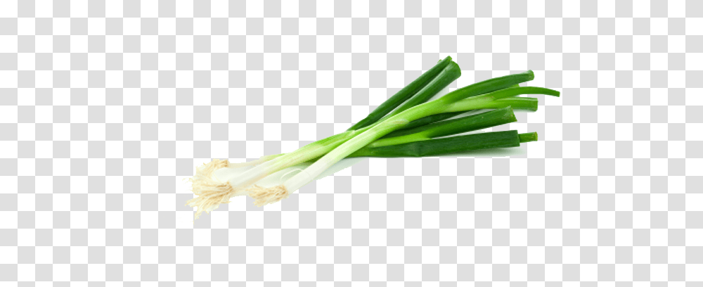 Leek, Vegetable, Plant, Produce, Food Transparent Png