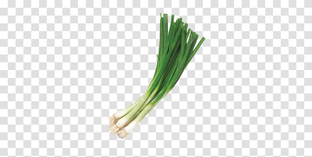Leek, Vegetable, Plant, Produce, Food Transparent Png