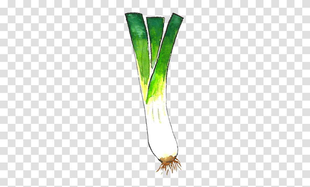 Leek, Vegetable, Plant, Produce, Food Transparent Png
