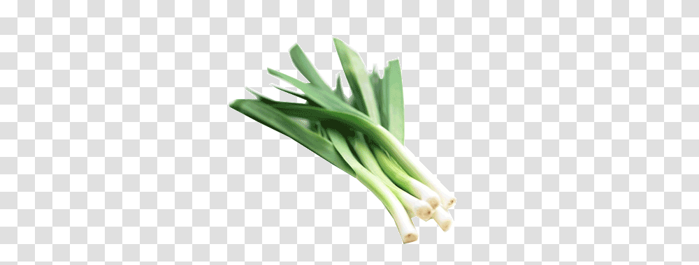 Leek, Vegetable, Plant, Produce, Food Transparent Png
