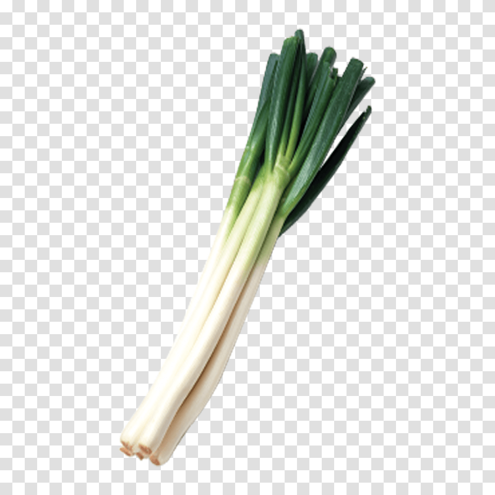 Leek, Vegetable, Plant, Produce, Food Transparent Png