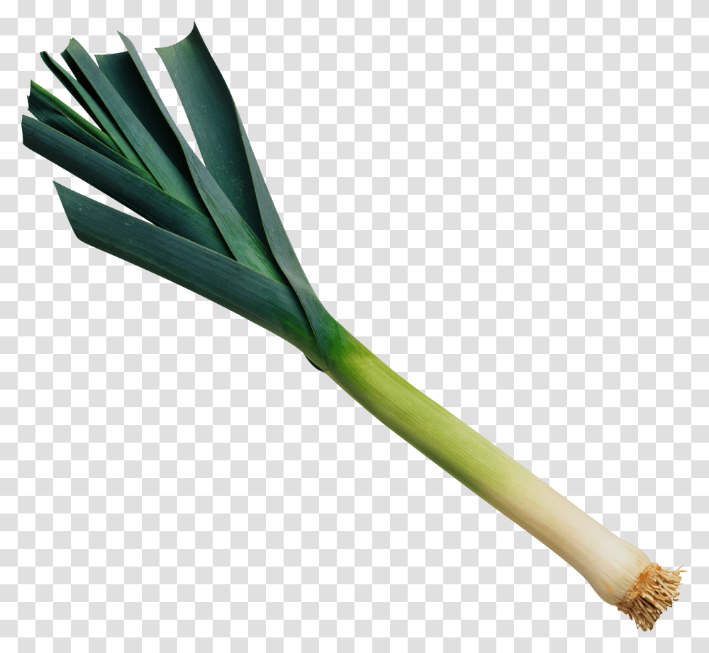 Leek, Vegetable, Plant, Produce, Food Transparent Png